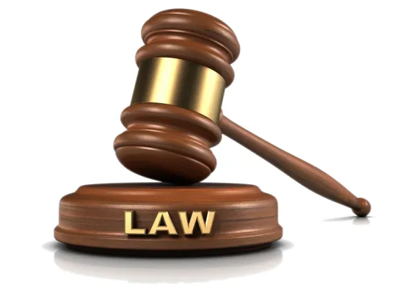 NHỮNG VĂN BẢN PHÁP LUẬT ĐƯỢC BAN HÀNH TỪ NGÀY 01/02/2026 ĐẾN NGÀY 28/02/2026